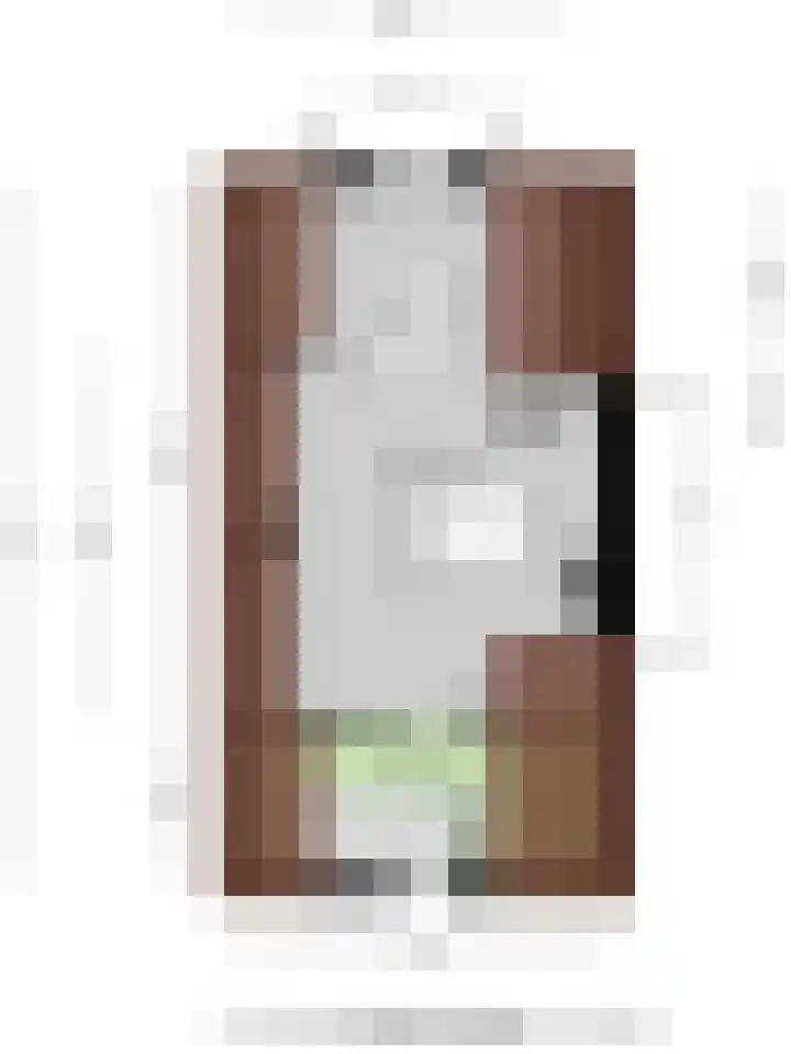 Buys Ballotstraat 21 B Leiden thumbnail 57