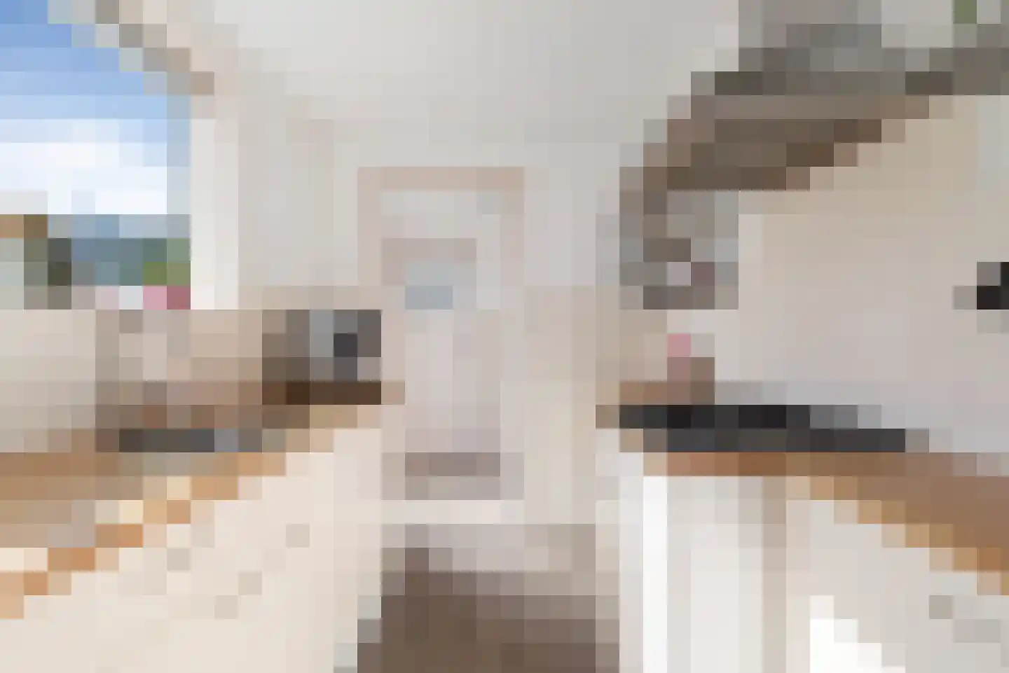 Buys Ballotstraat 22 Den Helder thumbnail 16