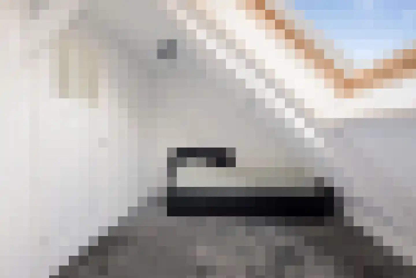 Buys Ballotstraat 22 Den Helder thumbnail 47