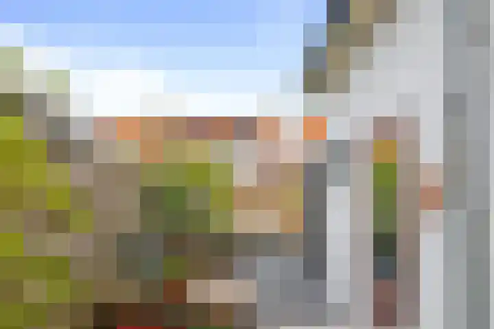 Buys Ballotstraat 23 Den Helder thumbnail 11
