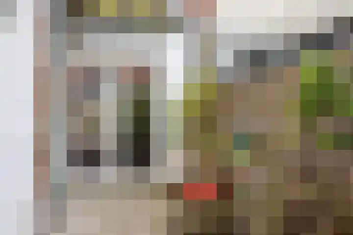Buys Ballotstraat 23 Den Helder thumbnail 13