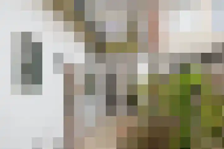 Buys Ballotstraat 23 Den Helder thumbnail 14