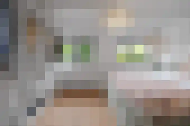 Buys Ballotstraat 23 Den Helder thumbnail 17