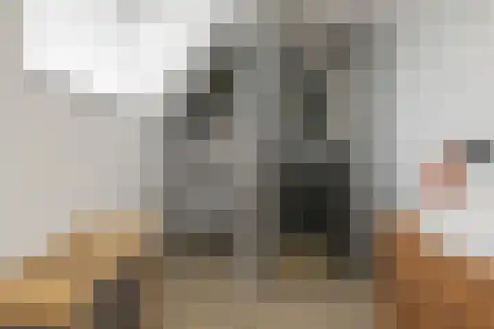 Buys Ballotstraat 23 Den Helder thumbnail 23