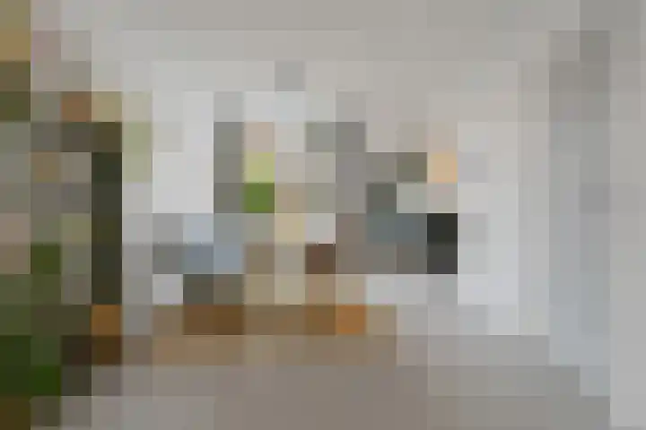 Buys Ballotstraat 23 Den Helder thumbnail 5