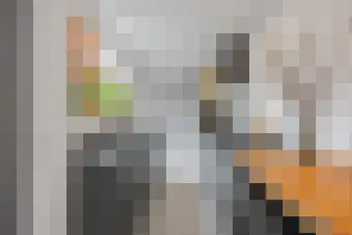 Buys Ballotstraat 23 Den Helder thumbnail 8