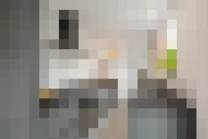 Buys Ballotstraat 23 Den Helder thumbnail 9