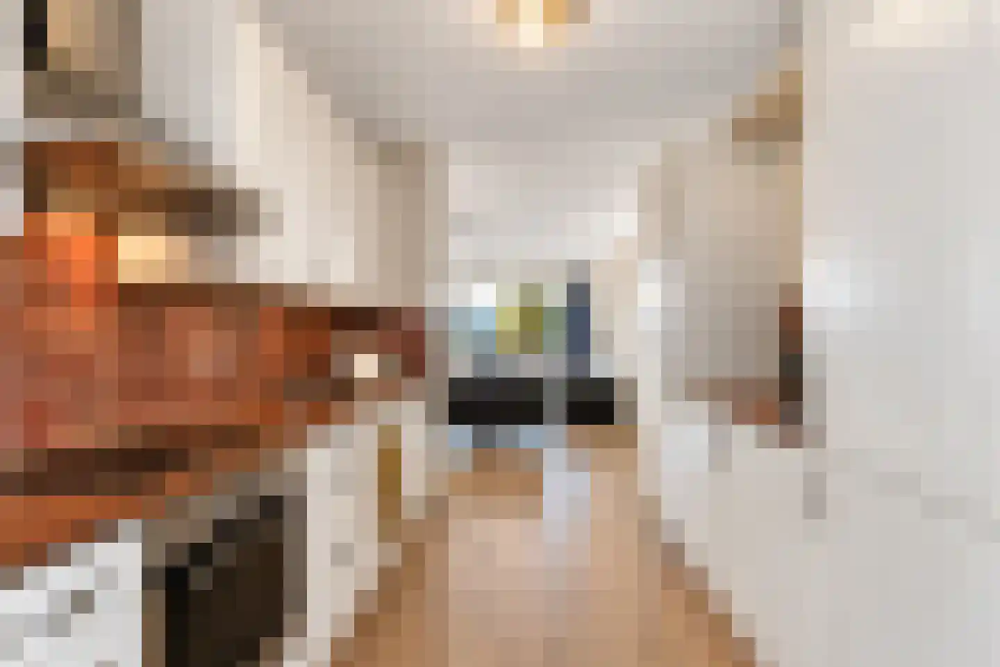 Buys Ballotstraat 25 Hilversum thumbnail 10