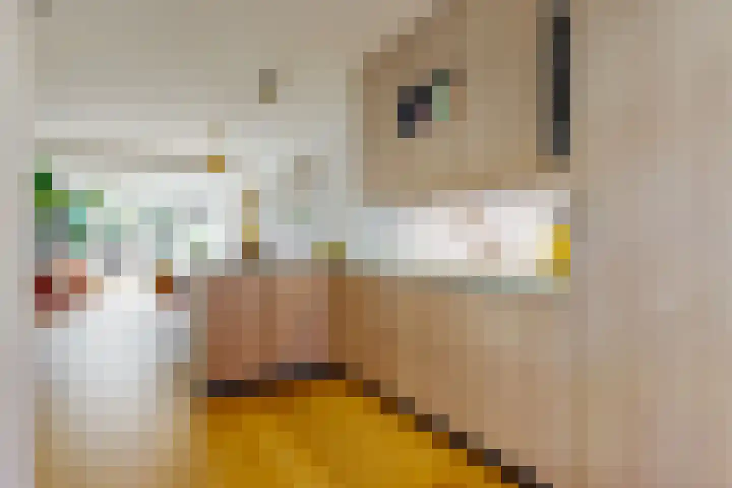 Buys Ballotstraat 35 Leiden thumbnail 15