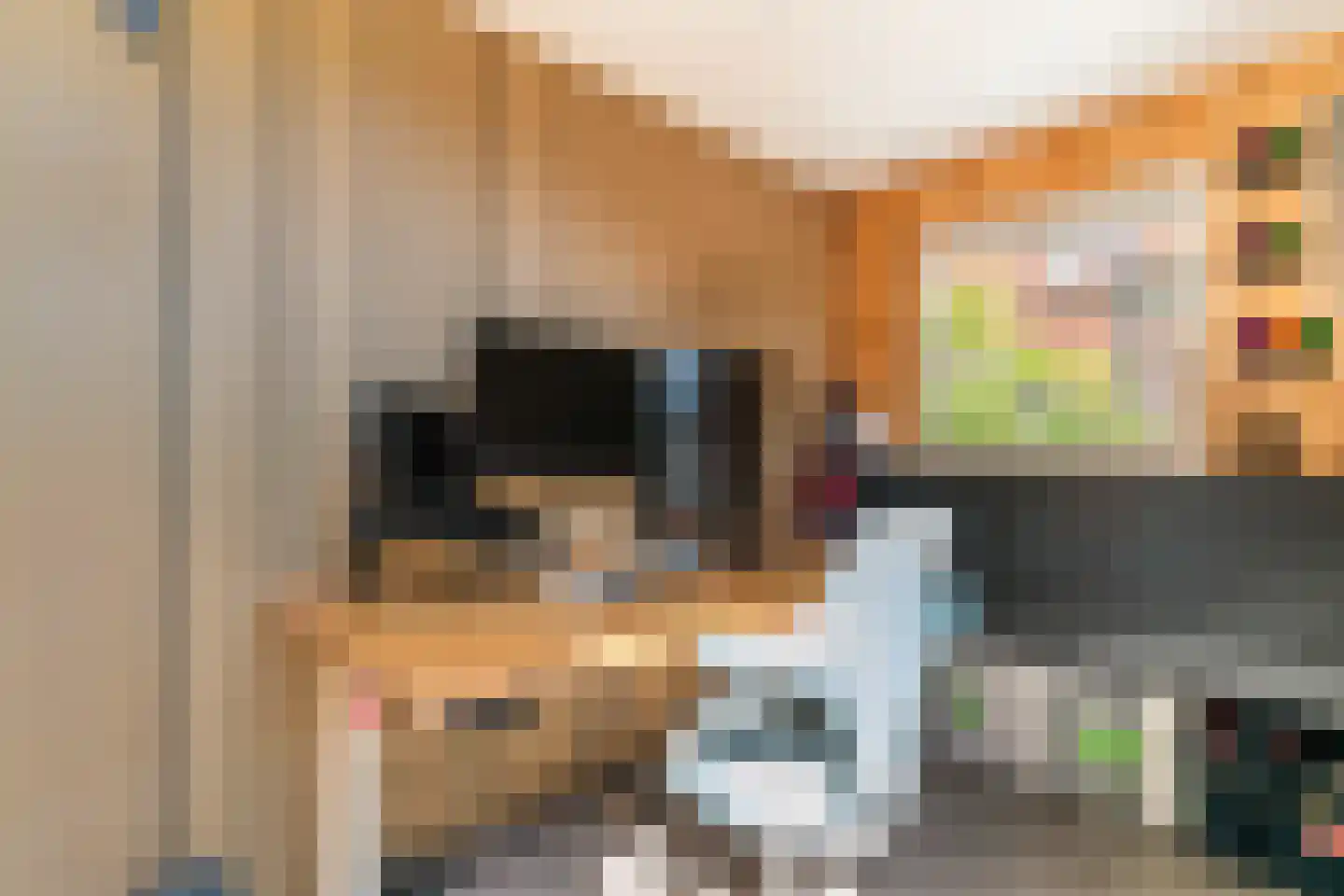 Buys Ballotstraat 35 Leiden thumbnail 25