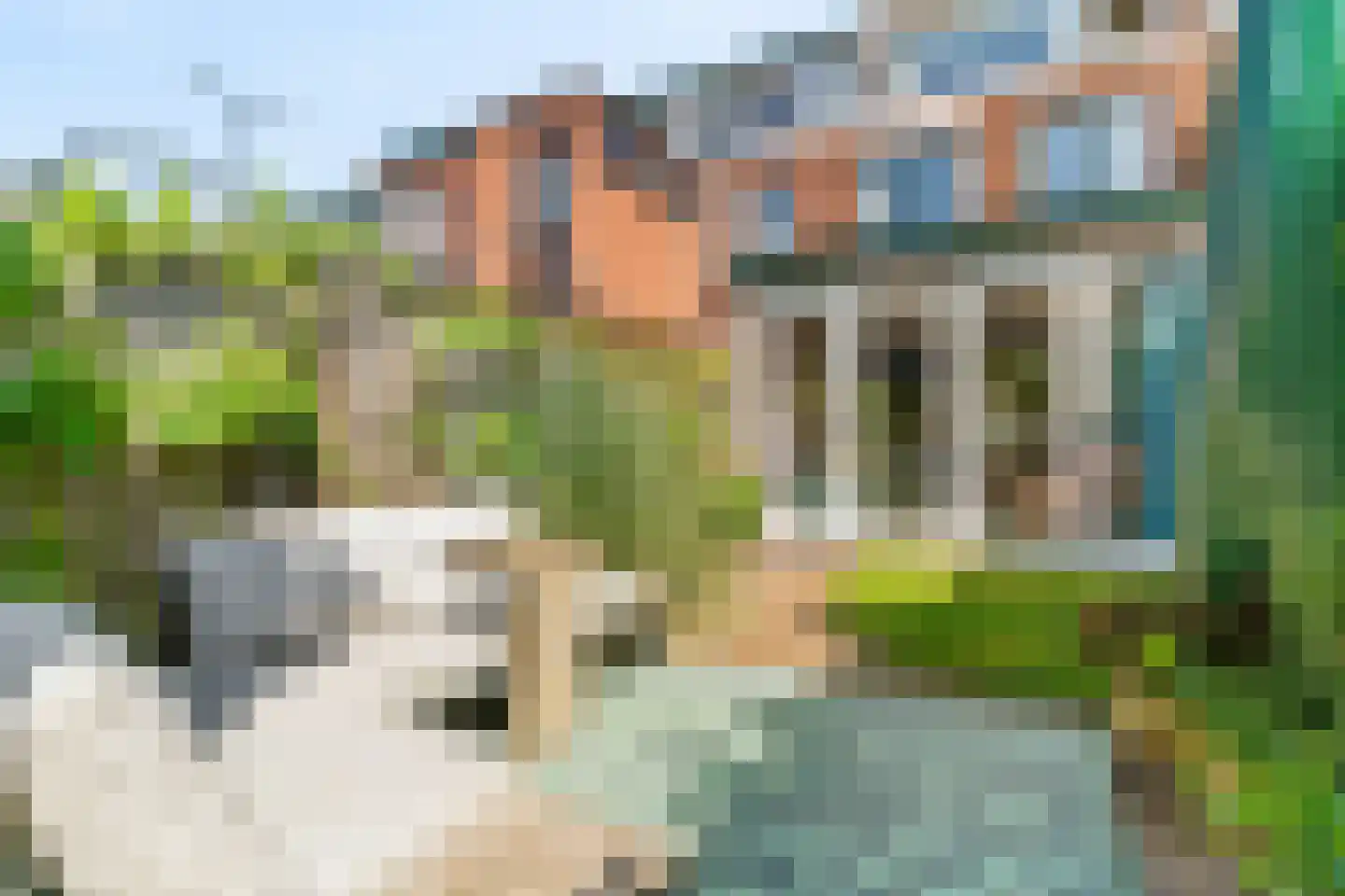 Buys Ballotstraat 35 Leiden thumbnail 27