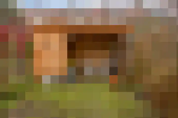 Buys Ballotstraat 37 Leiden thumbnail 20
