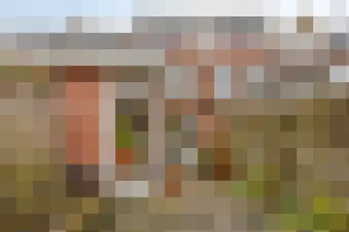 Buys Ballotstraat 37 Leiden thumbnail 22