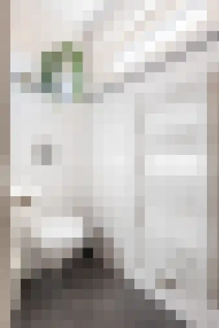 Buys Ballotstraat 40 Apeldoorn thumbnail 31