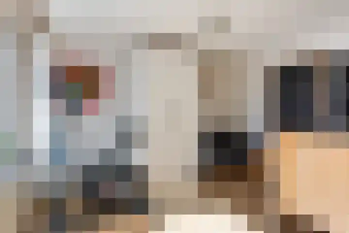 Buys Ballotstraat 40 Apeldoorn thumbnail 7