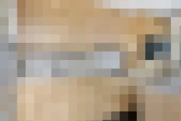 Buys Ballotstraat 40 Goes thumbnail 12