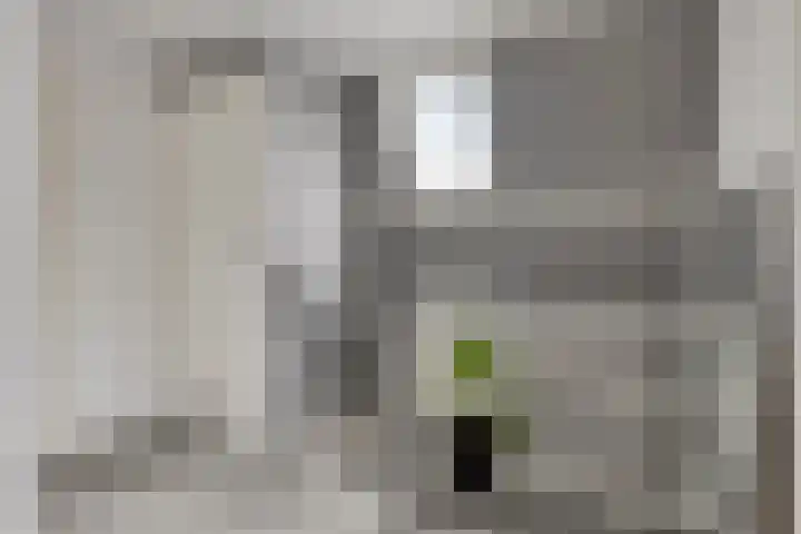 Buys Ballotstraat 40 Goes thumbnail 21