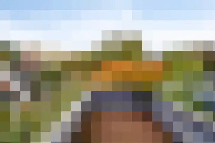 Buys Ballotstraat 40 Goes thumbnail 26