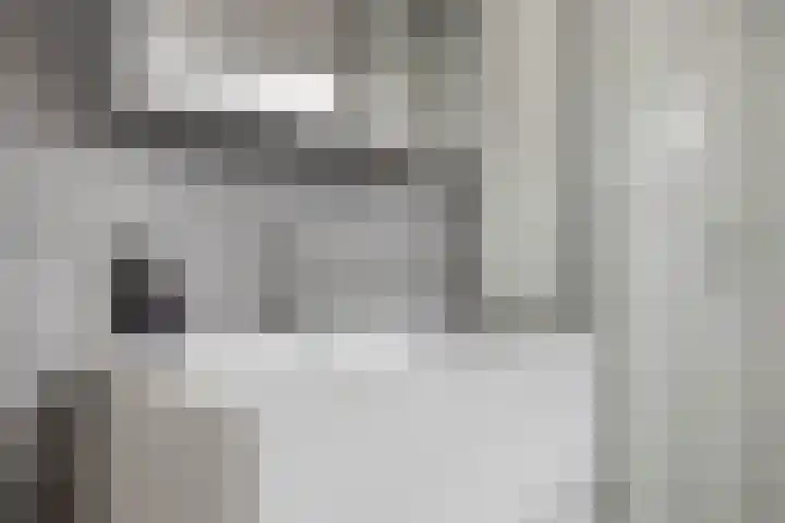 Buys Ballotstraat 40 Goes thumbnail 31