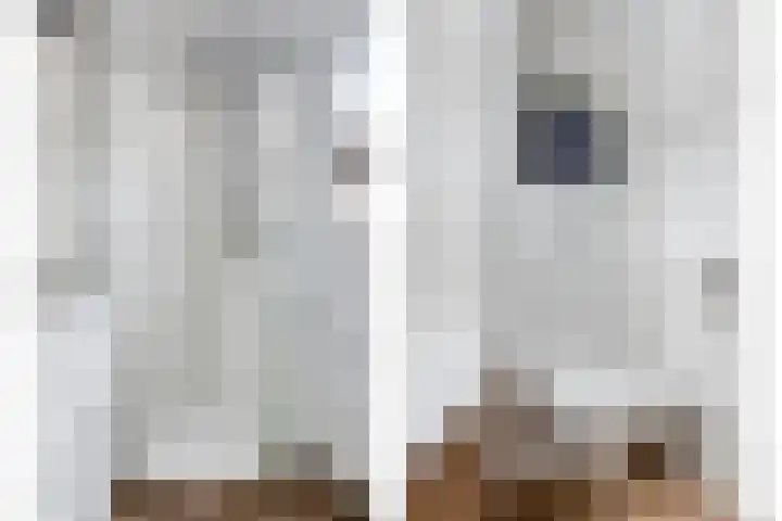 Buys Ballotstraat 40 Goes thumbnail 32