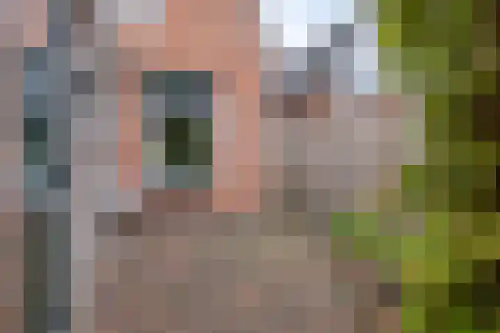 Buys Ballotstraat 40 Goes thumbnail 33