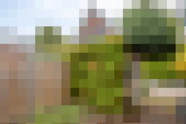 Buys Ballotstraat 40 Goes thumbnail 35