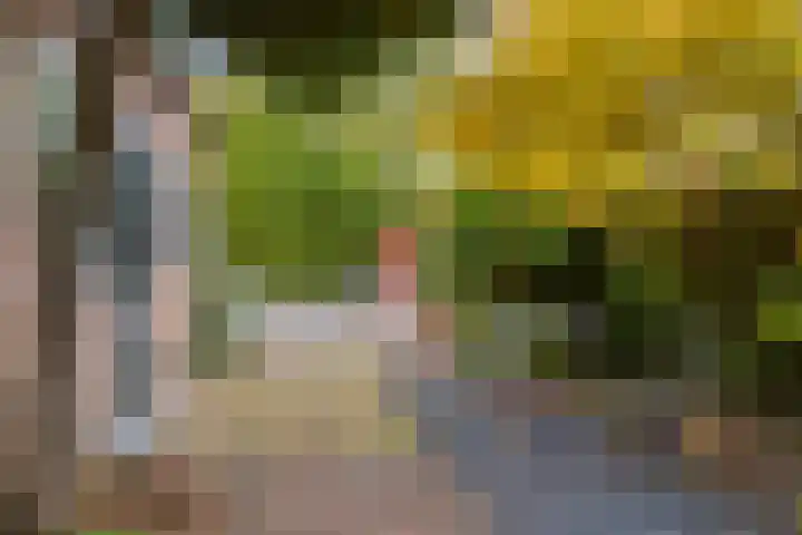 Buys Ballotstraat 40 Goes thumbnail 36