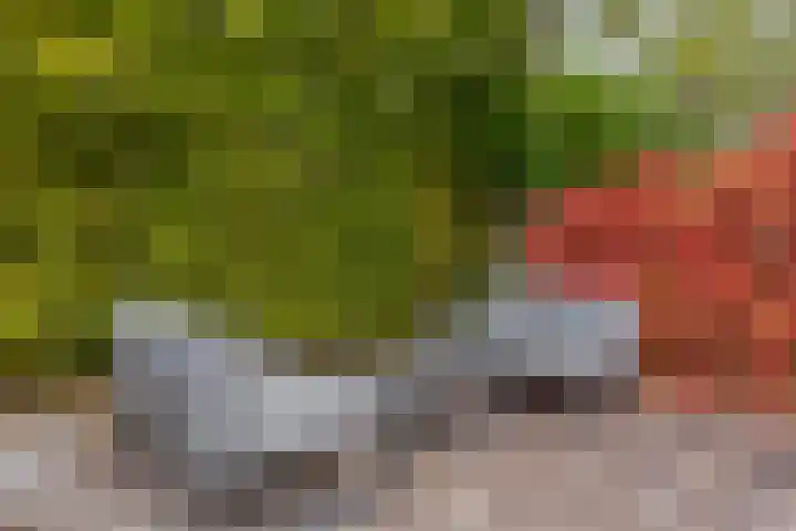 Buys Ballotstraat 40 Goes thumbnail 38