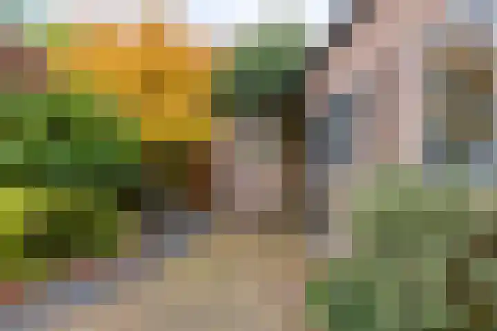 Buys Ballotstraat 40 Goes thumbnail 40
