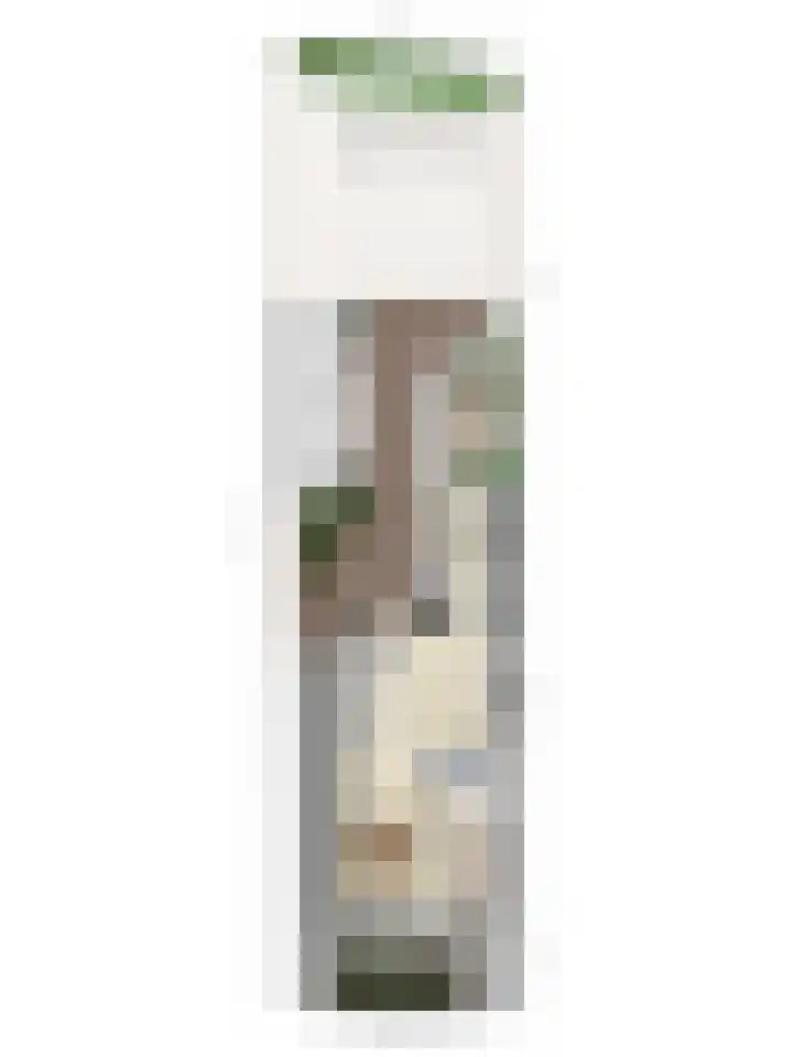 Buys Ballotstraat 40 Goes thumbnail 44