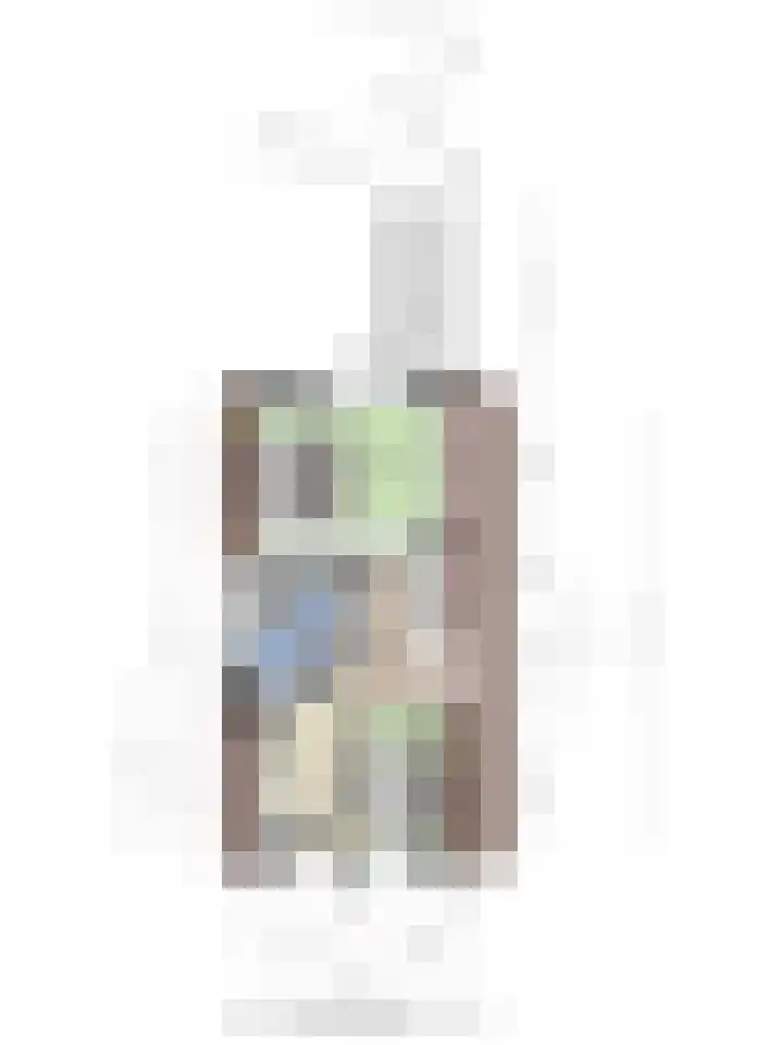 Buys Ballotstraat 40 Goes thumbnail 46