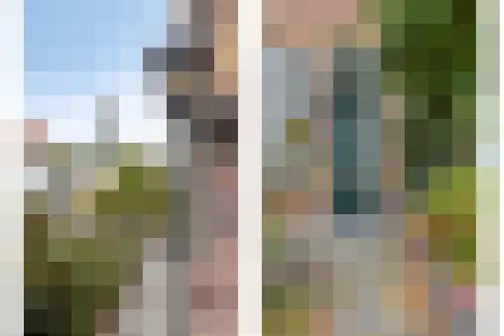 Buys Ballotstraat 40 Goes thumbnail 5