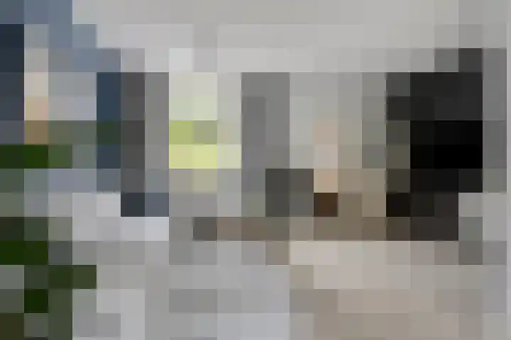 Buys Ballotstraat 40 Goes thumbnail 9