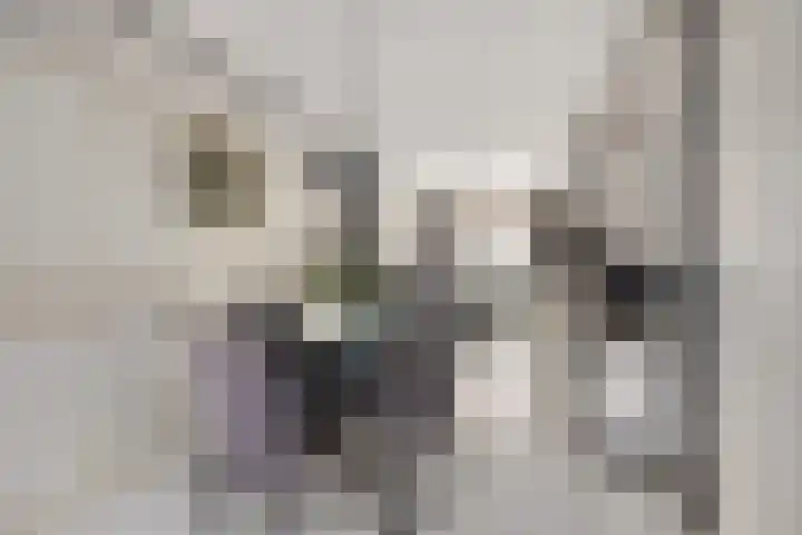 Buys Ballotstraat 40 Leiden thumbnail 10