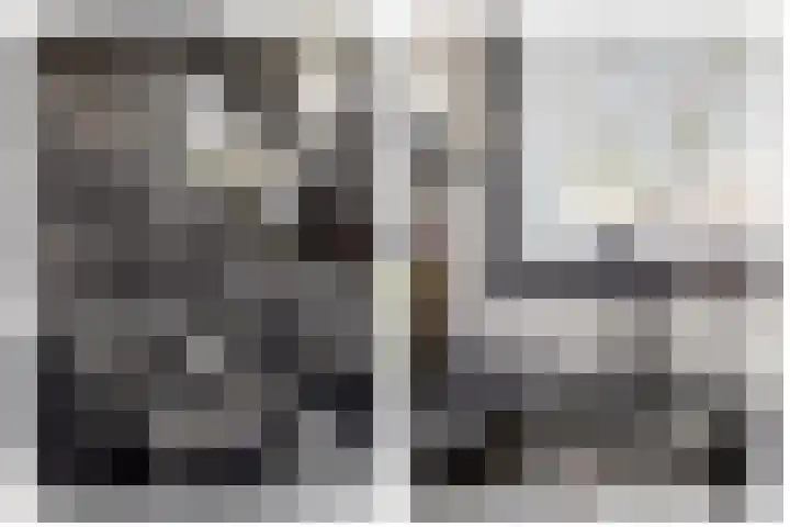 Buys Ballotstraat 40 Leiden thumbnail 12