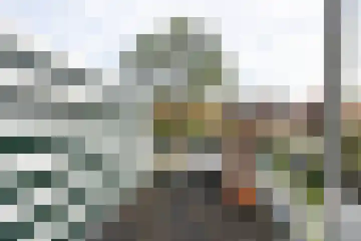 Buys Ballotstraat 40 Leiden thumbnail 17