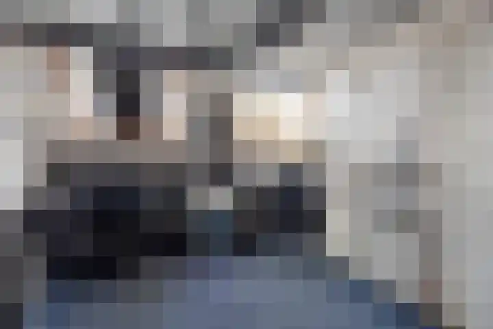 Buys Ballotstraat 40 Leiden thumbnail 20