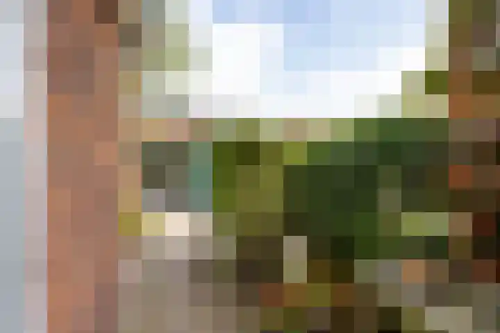 Buys Ballotstraat 40 Leiden thumbnail 22