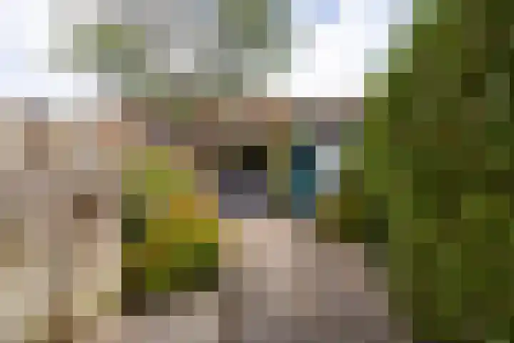Buys Ballotstraat 40 Leiden thumbnail 23