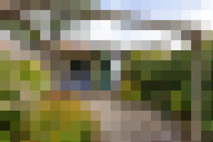 Buys Ballotstraat 40 Leiden thumbnail 24