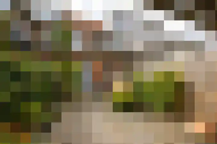 Buys Ballotstraat 40 Leiden thumbnail 25