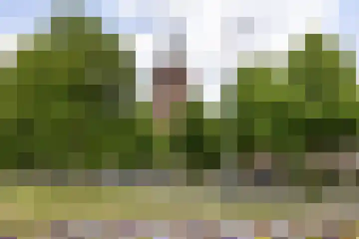Buys Ballotstraat 40 Leiden thumbnail 28