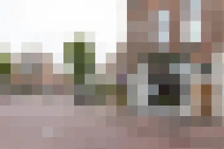 Buys Ballotstraat 40 Leiden thumbnail 31
