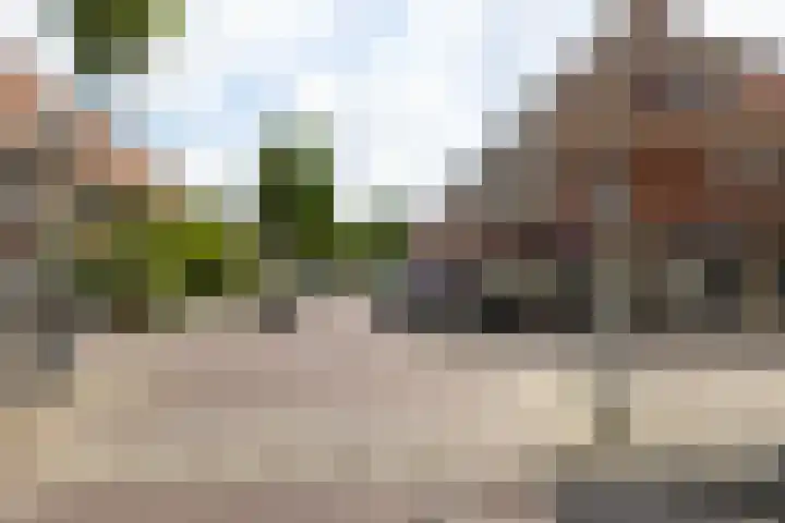 Buys Ballotstraat 40 Leiden thumbnail 32