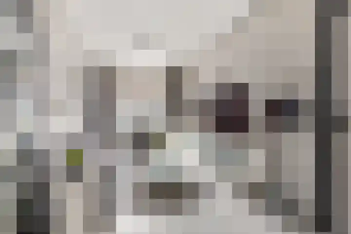 Buys Ballotstraat 40 Leiden thumbnail 4
