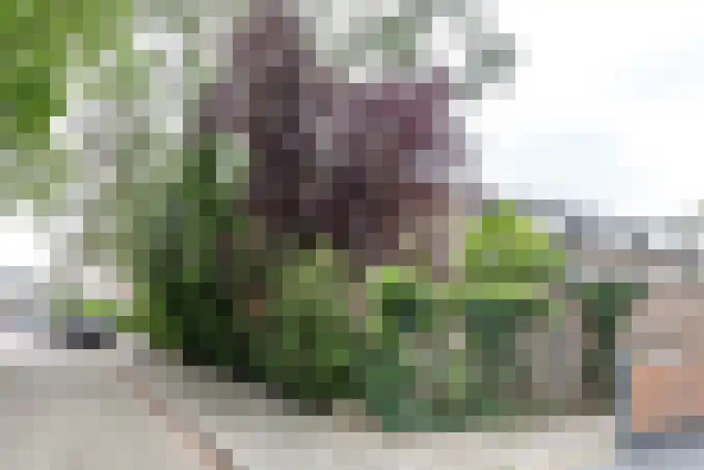 Buys Ballotstraat 42 Apeldoorn thumbnail 27