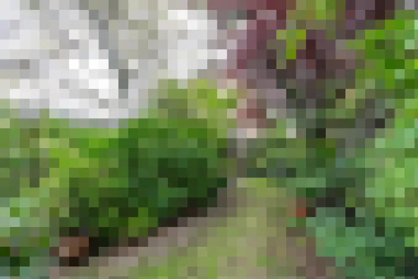 Buys Ballotstraat 42 Apeldoorn thumbnail 30