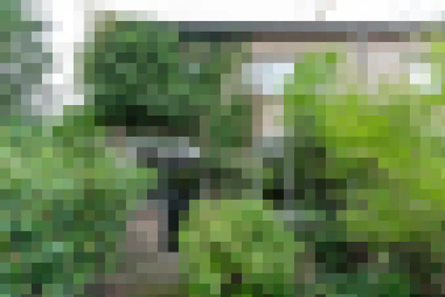 Buys Ballotstraat 42 Apeldoorn thumbnail 31