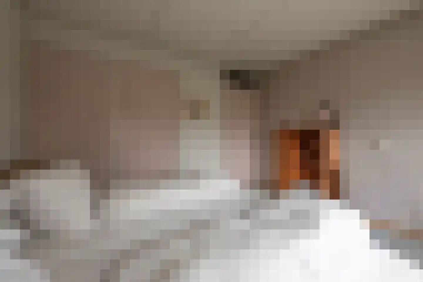 Buys Ballotstraat 42 Apeldoorn thumbnail 4