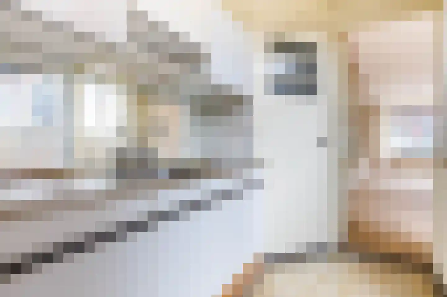 Buys Ballotstraat 46 Leiden thumbnail 13